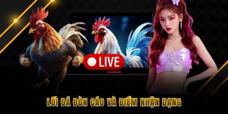 Lối đ&aacute; đ&ograve;n c&aacute;o v&agrave; điểm nhận dạng